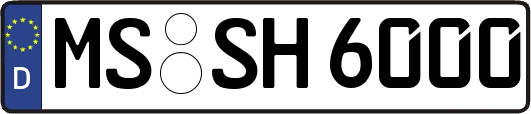 MS-SH6000