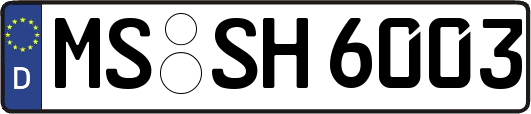 MS-SH6003