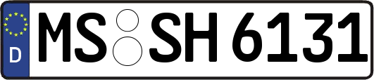 MS-SH6131