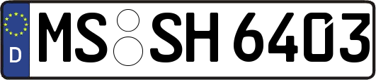 MS-SH6403