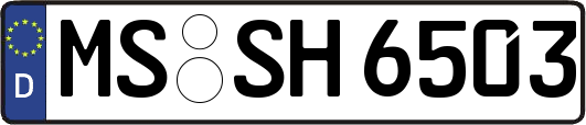 MS-SH6503
