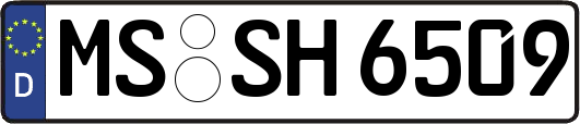 MS-SH6509