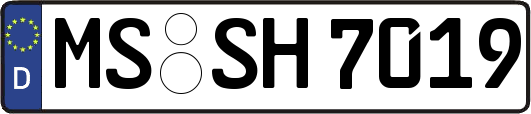 MS-SH7019