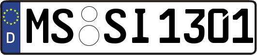 MS-SI1301