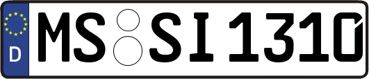 MS-SI1310