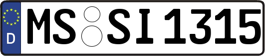 MS-SI1315