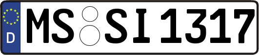 MS-SI1317