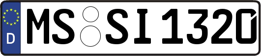 MS-SI1320