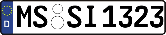 MS-SI1323