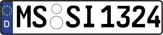 MS-SI1324
