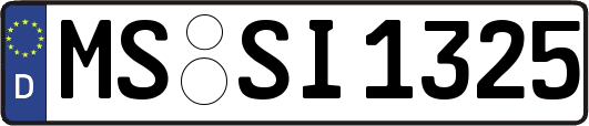 MS-SI1325