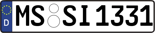 MS-SI1331