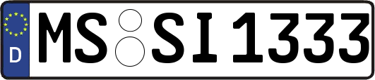 MS-SI1333