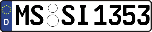 MS-SI1353