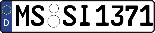 MS-SI1371