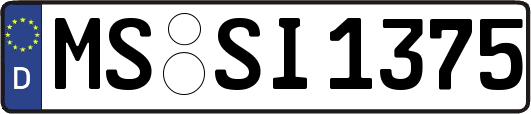 MS-SI1375