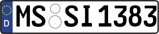 MS-SI1383