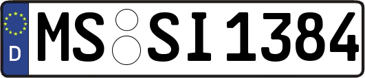 MS-SI1384