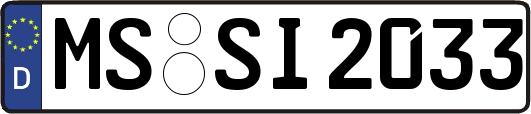 MS-SI2033