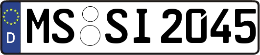 MS-SI2045