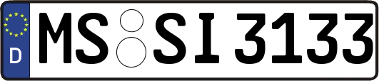 MS-SI3133