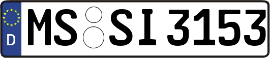 MS-SI3153