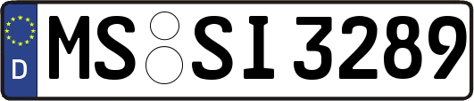 MS-SI3289