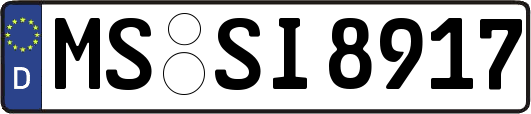 MS-SI8917