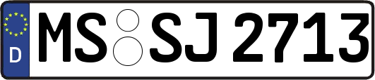 MS-SJ2713