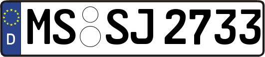 MS-SJ2733