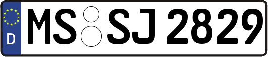 MS-SJ2829
