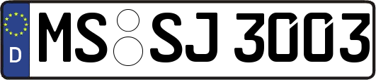 MS-SJ3003