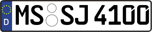 MS-SJ4100