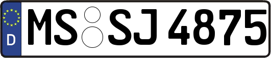 MS-SJ4875