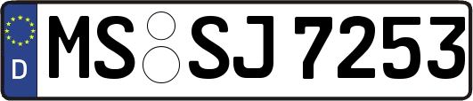 MS-SJ7253