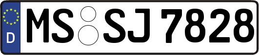 MS-SJ7828