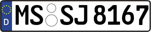 MS-SJ8167