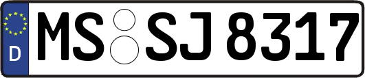 MS-SJ8317