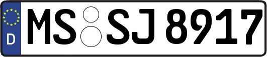 MS-SJ8917