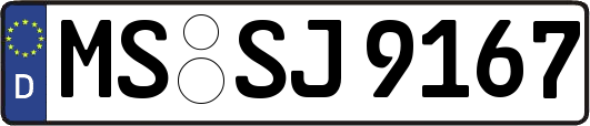 MS-SJ9167