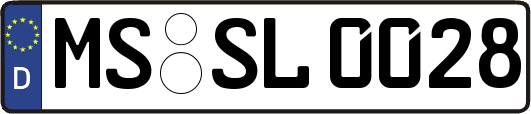 MS-SL0028