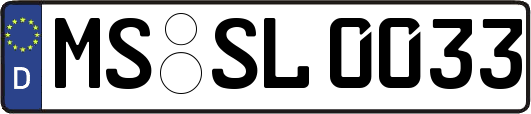 MS-SL0033