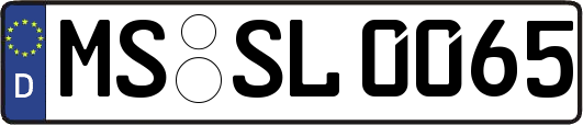 MS-SL0065