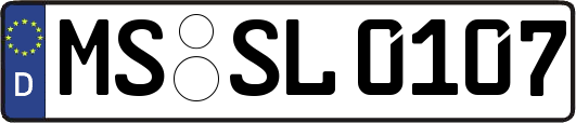 MS-SL0107