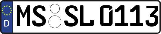MS-SL0113