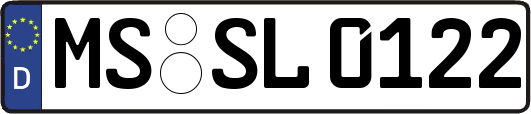 MS-SL0122