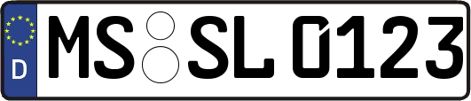 MS-SL0123