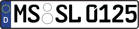 MS-SL0125