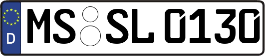 MS-SL0130