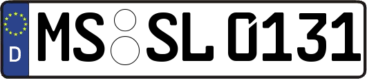MS-SL0131
